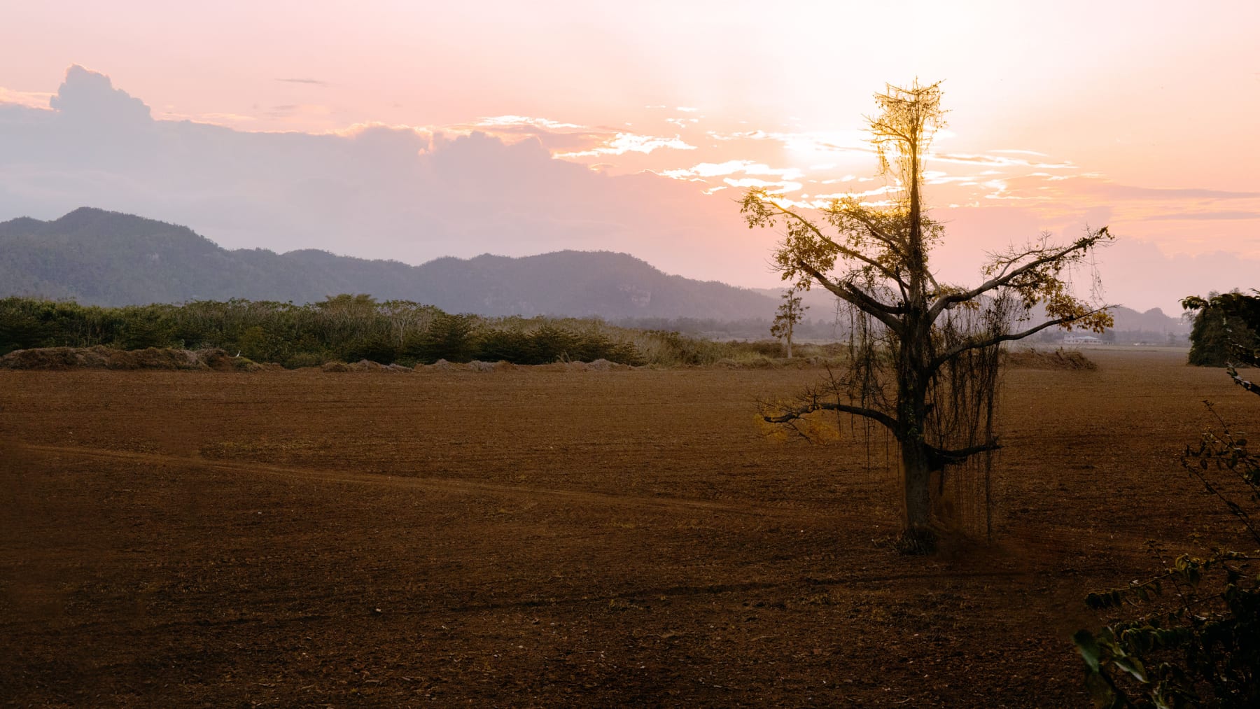Open Free State farmland stretching to the horizon at sunset